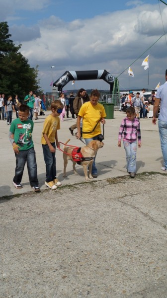 Úthibát jelez a kutya