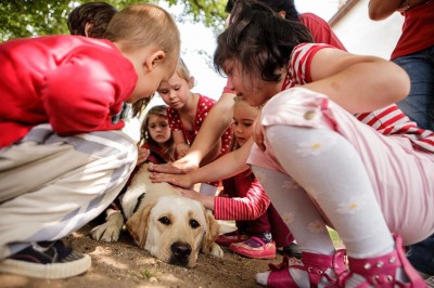 Dani rajongók gyűrűjében