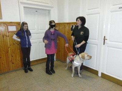 Lokum és egy bátor jelentkező