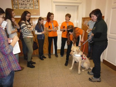 Sokan kipróbálták a vakvezető kutyával való közlekedést.
