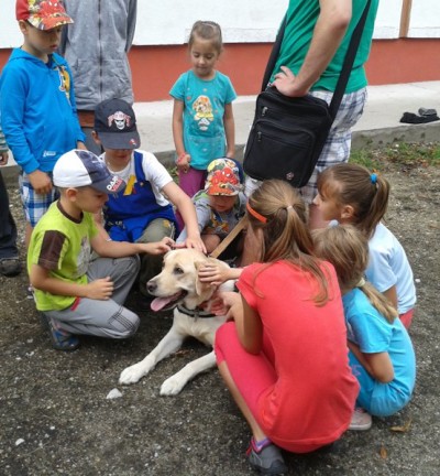 Borcsa is very pleased that the children around her stroking, while in the background Zoli gives the instructions.