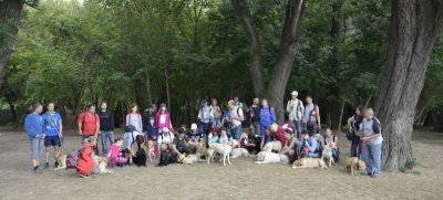 Guide dogs, trainers, blind people, volunteers and puppy trainers