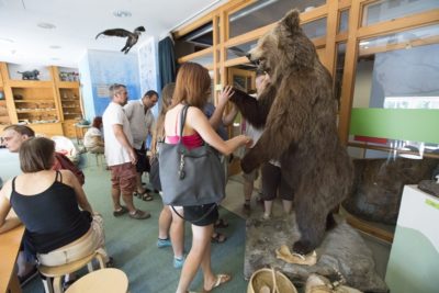 A képen Kázmér, a kitömött barna medve van. Előtte áll két érdeklődő.