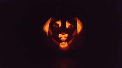 Éjszakai sárga fényű látványa adja vissza igazán, milyen élethű lett a kutya portréja