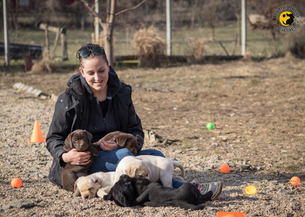 Kitti ölében az L betűs kölykökkel