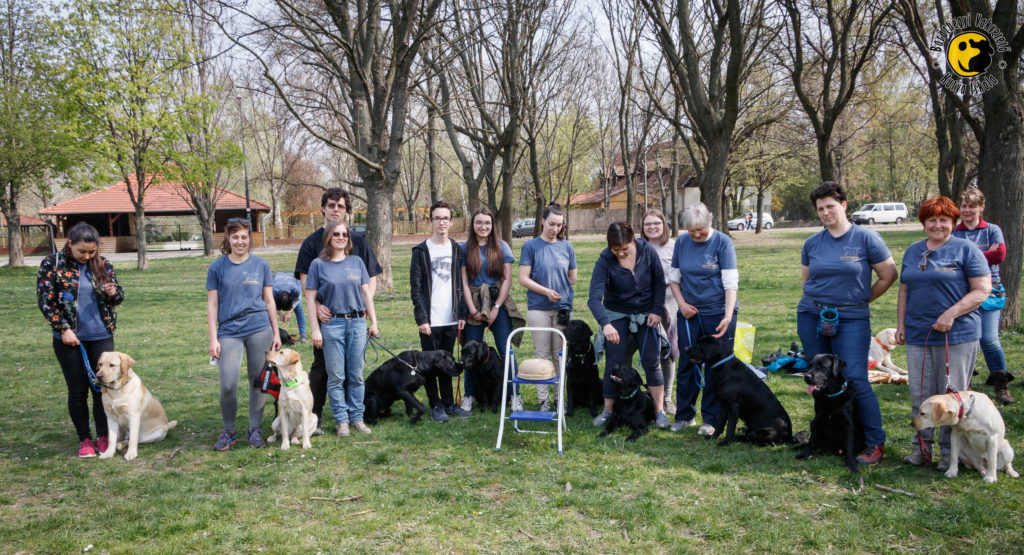 A szülinapi tortának nagyon örültek az egyévesek