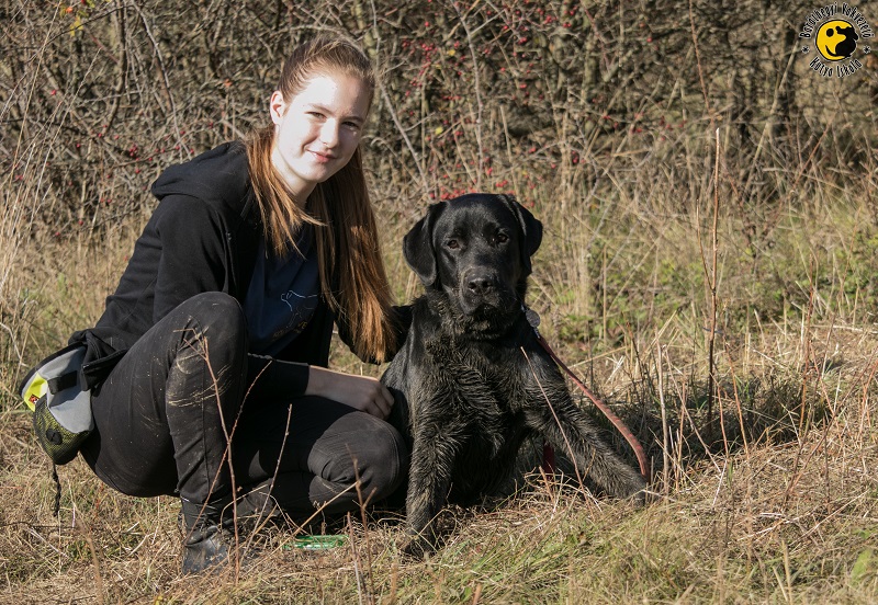 The slightly muddy Géniusz is sitting next to his puppy educator