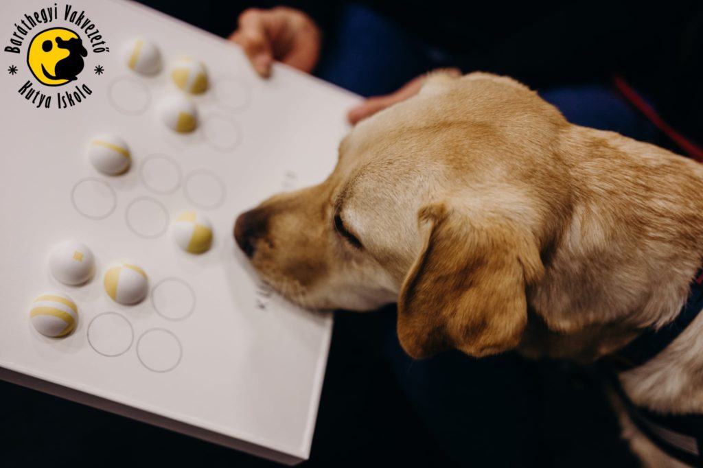 Körte szagolgatja a plakettet