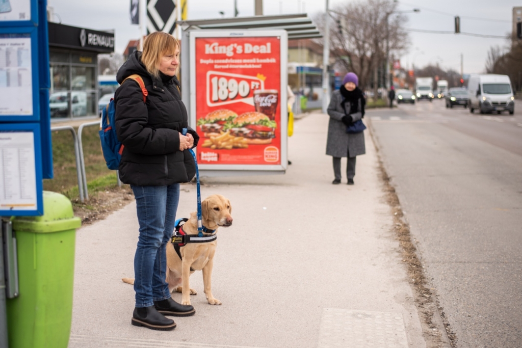 Kovács Margit buszmegállóban várakozik Alfával.