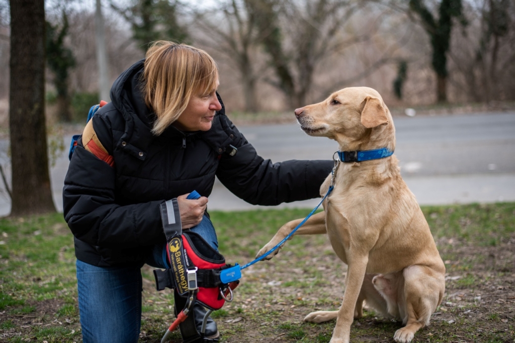 Kovács Margit egy parkban térdel, mellette vakvezető kutyája Alfa.