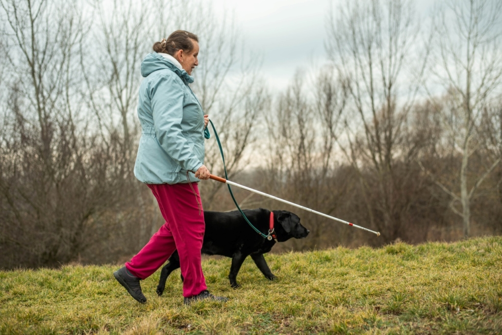 A képen Sáfrány Írisz egy töltésen sétál, kezében fehér bottal, miközben nyugdíjas vakvezető kutyája, Dolly pórázon halad mellette.