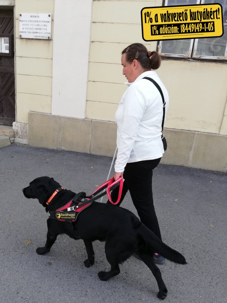 Sáfrány Írisz egy utcán sétál, miközben Dolly, akkor még aktív vakvezető kutyaként, vezeti őt.