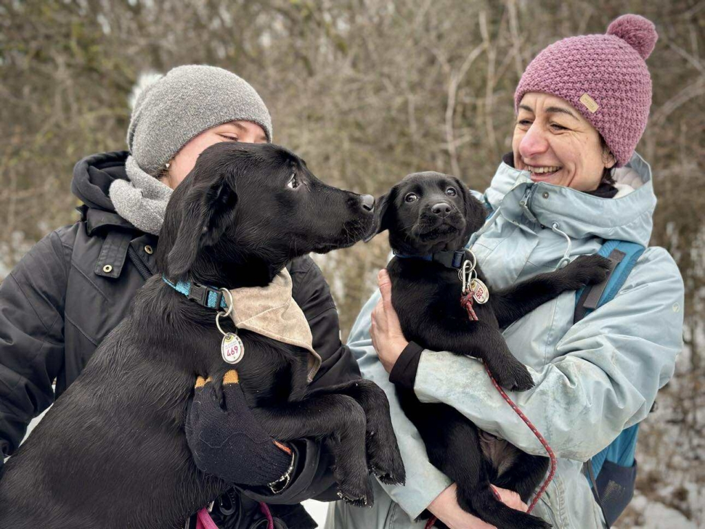Fényképen két nő látható, akik fekete Labrador kiskutyákat tartanak karjukban egy havas erdőben.
