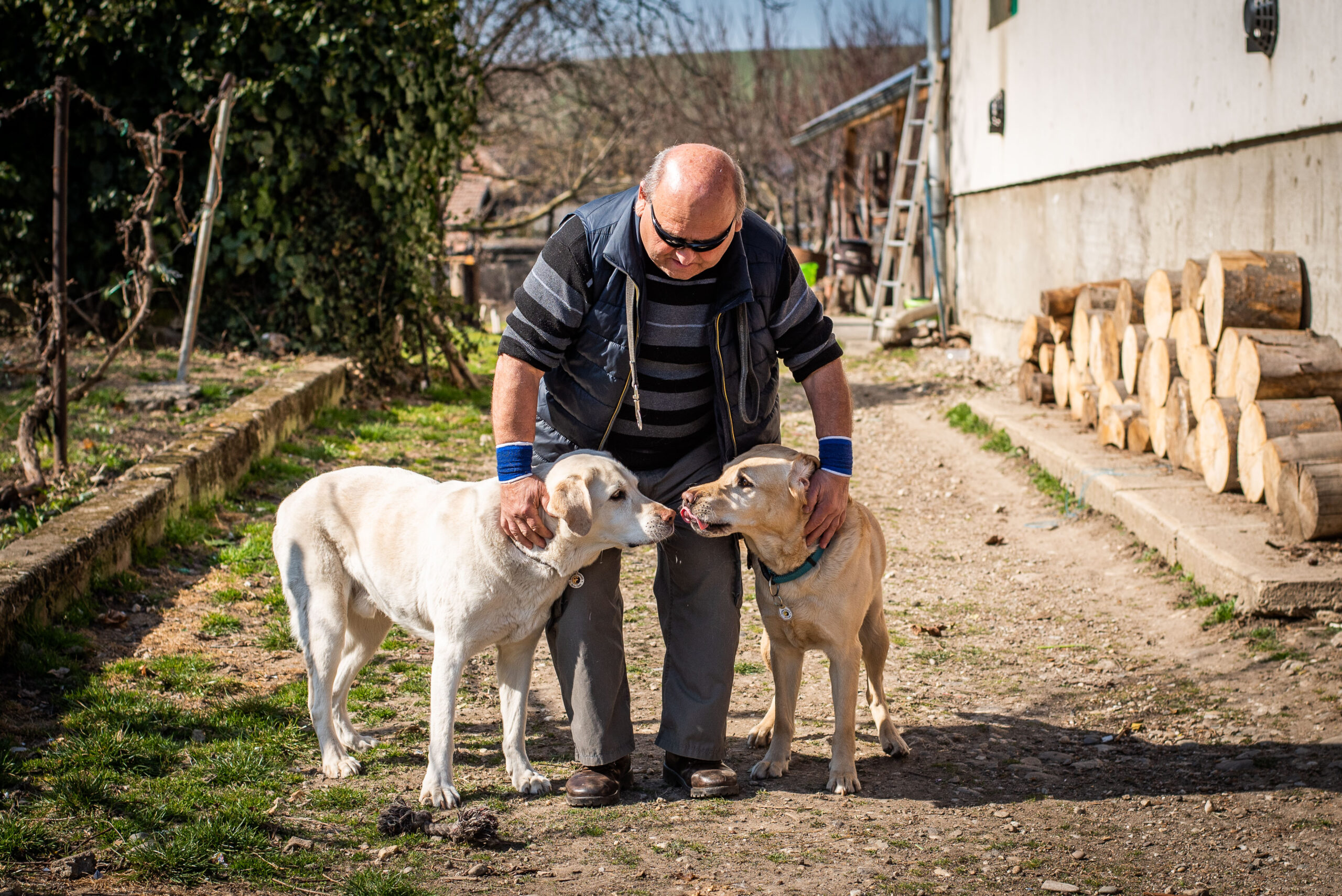 Nyugdíjba ment a hős vakvezető kutya!