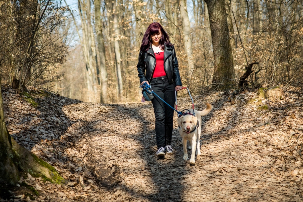 Flóra egy erdei úton sétál és Akác a vakvezető kutyája vezeti.