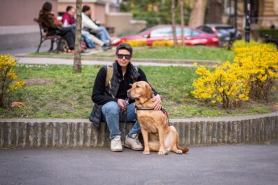 Attila és Parfé új életet kezd a fővárosban