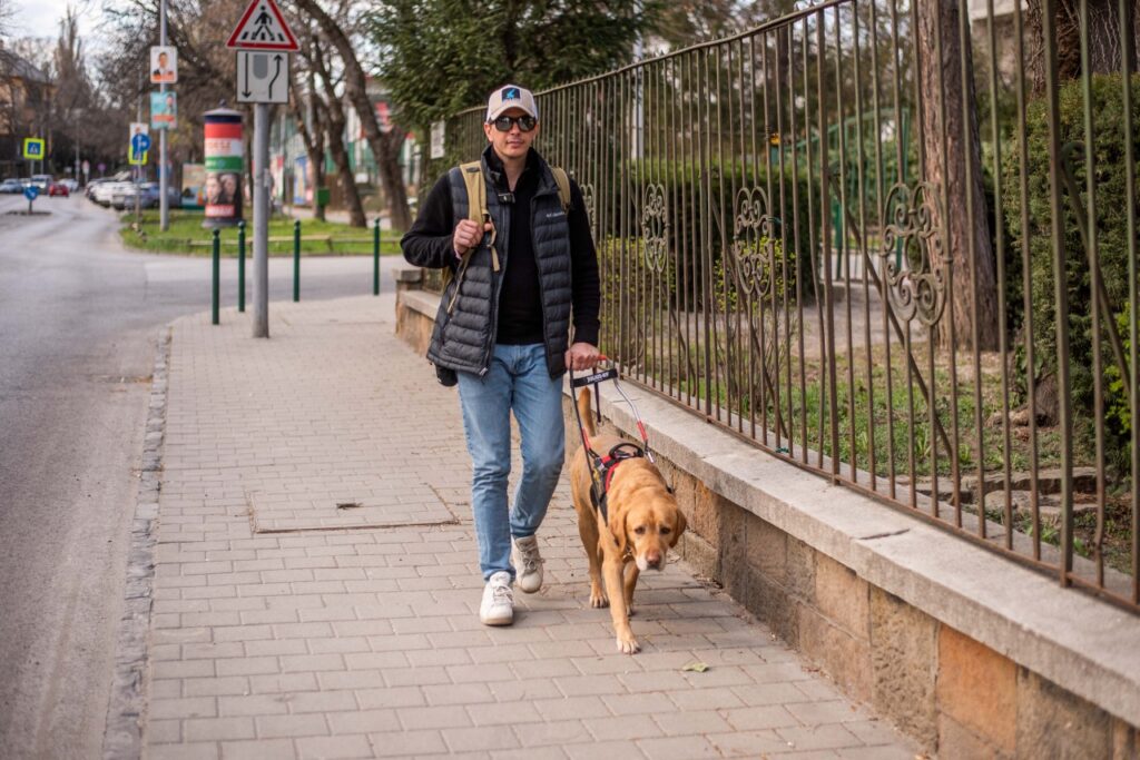 Bodnár Attila a járdán sétál, miközben vakvezető kutyája, Parfé, vezeti – városi környezetben készült kép, amely bemutatja a látássérült személyek és vakvezető kutyáik mindennapi együttműködését.