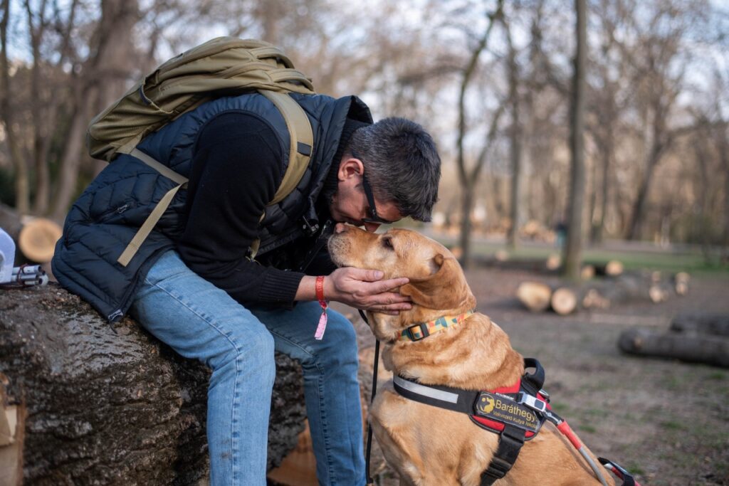 Bodnár Attila a parkban egy kivágott fatörzsön ül, vakvezető kutyája, Parfé vele szemben ül, lehajol hozzá, és a kutya Attila kezébe teszi a fejét.
