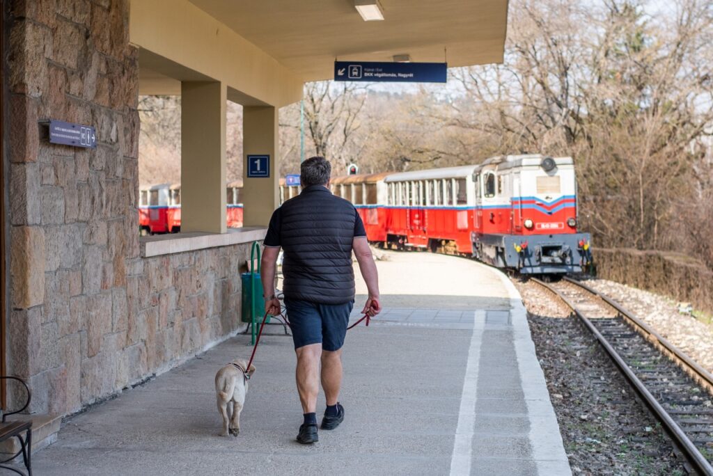 Naspolya and Csaba walking as the forest train comes by