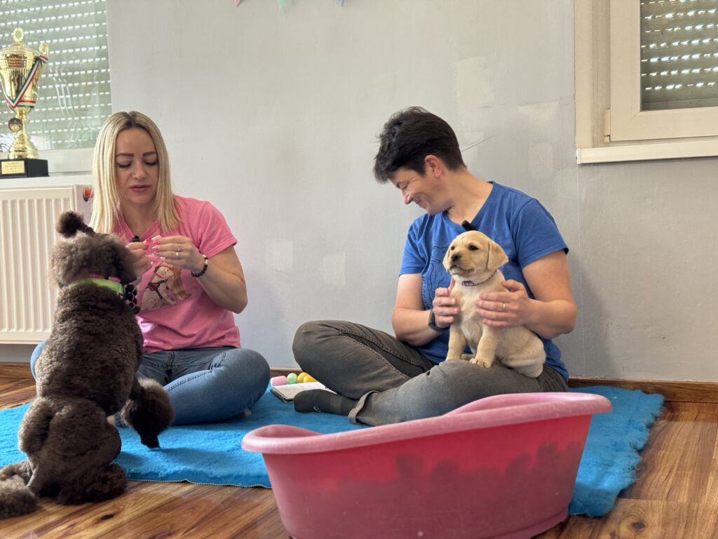 In the photos, on the left: Emese Barkóczi Királyné, guide dog trainer, with a brown poodle sitting in front of her; on the right: Piroska Komondi, professional leader, with a yellow Labrador puppy in her lap.