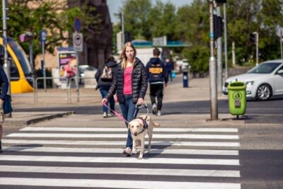 Babér az egyik szemét mindig Rékán tartja