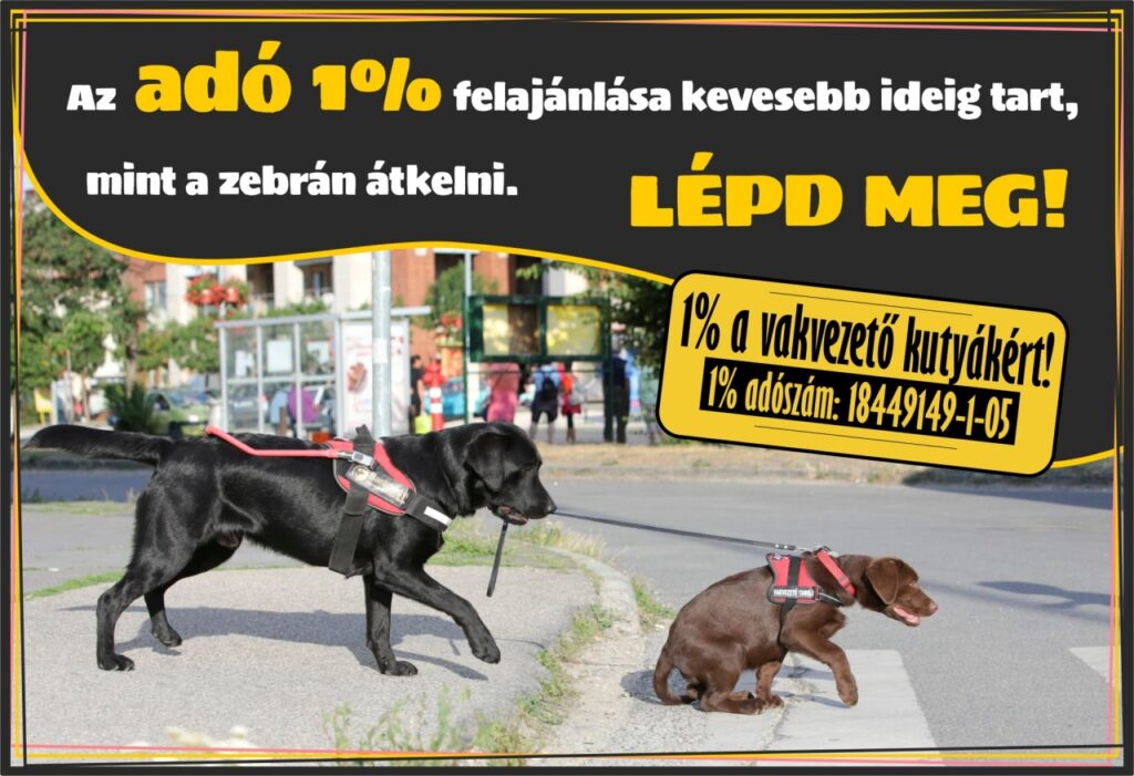 Adománygyűjtő hirdetés az adó 1%-áért. A képen egy hámot viselő fekete labrador és egy barna labrador kölyök látható, amint egy úttesten kelnek át. Felirat: „Az adó 1% felajánlása kevesebb ideig tart, mint a zebrán átkelni. LÉPD MEG!” Adószám: 18449149-1-05