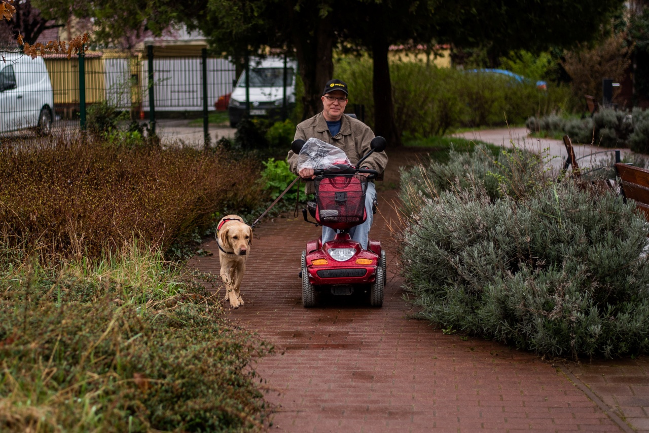 A képen Göncző László egy parkban mopedjében ül, miközben Frappé, a segítő kutya pórázon kíséri őt.