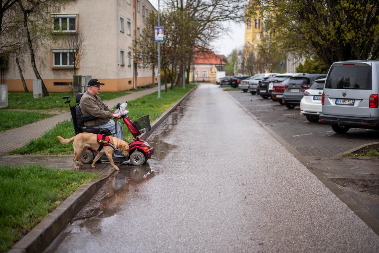 A képen Göncző László mopedjével halad át egy úton, mellette Frappé, a segítő kutya kíséri őt.