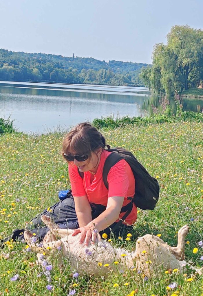 Egy napszemüveges nő egy virágos mezőn ülve boldogan simogatja a hátán fekvő sárga labrador kutyáját egy tó partján