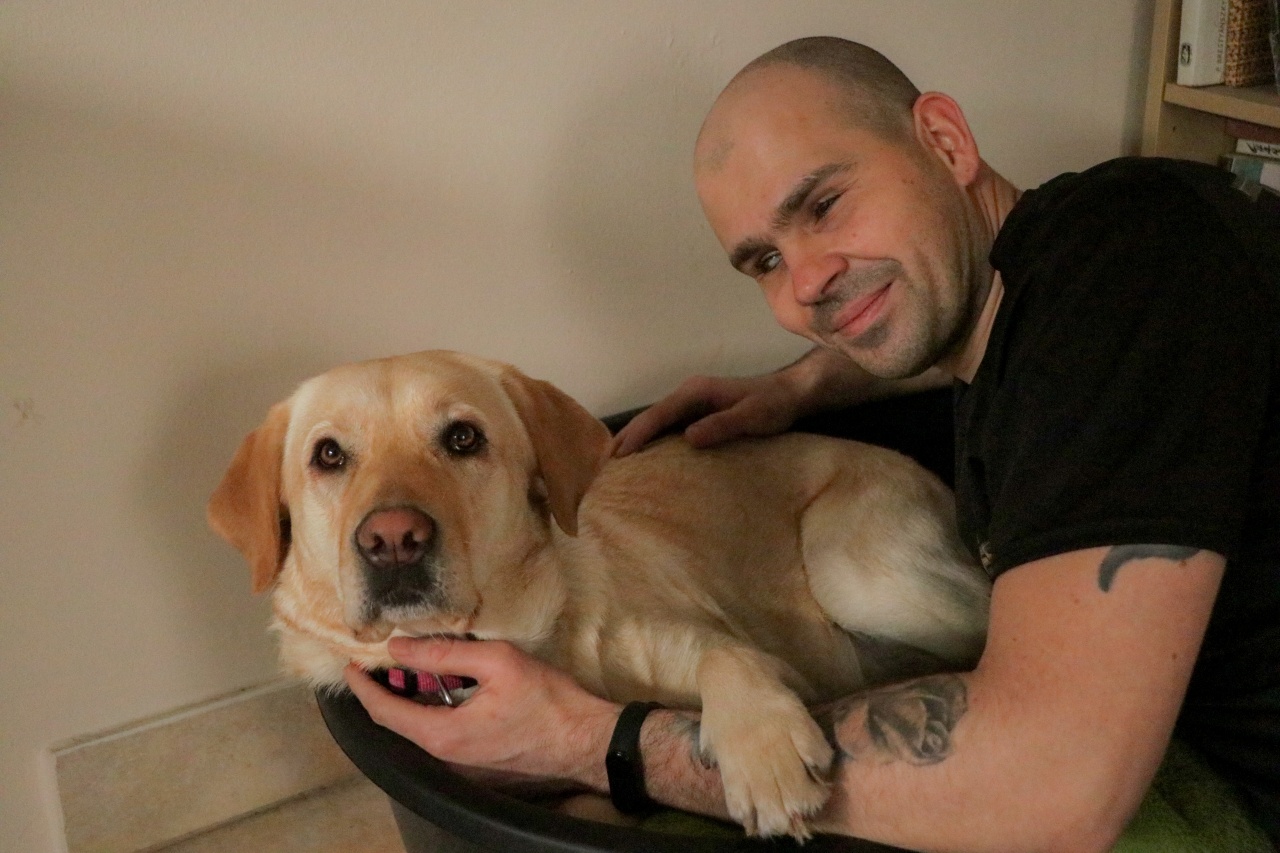 Körte a homokdűnék között vezette haza Misit