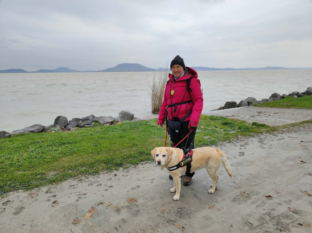 A felénél jár a Balaton Camino a vakvezető kutyákért