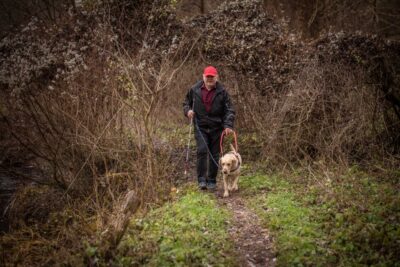 Miklós erdei kalandjai Atommal