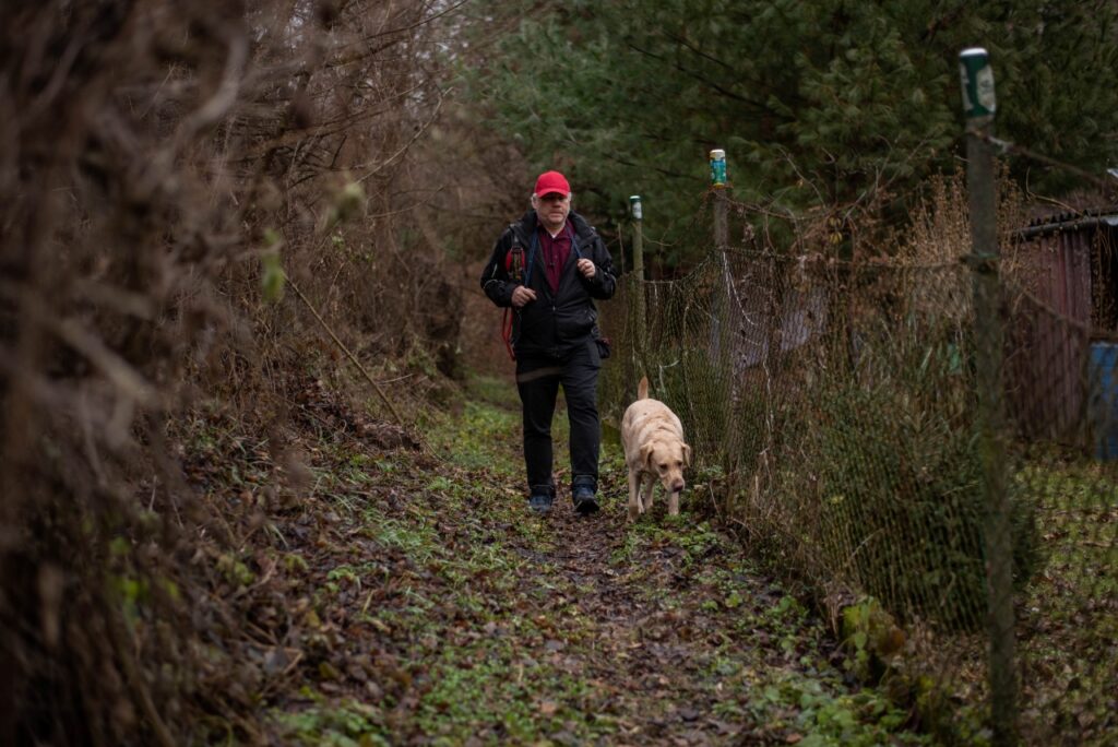 Egy piros sapkás férfi sétál egy erdei ösvényen, mellette szabadon, hám nélkül halad egy sárga labrador retriever. Jobbra egy drótkerítés látható, a háttérben sűrű aljnövényzet és fák.