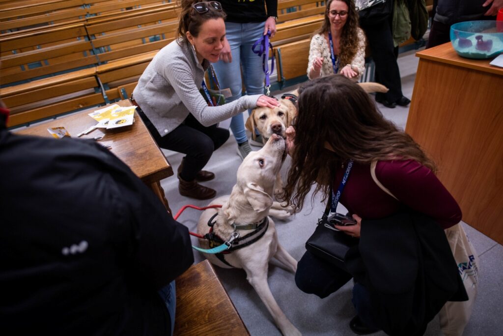 Rizling és Origó, a két vakvezető kutya, egy rendezvényen az érdeklődők gyűrűjében ülnek miközben a résztvevők szeretettel simogatják őket.