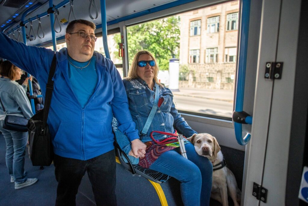Egy férfi és egy napszemüveges nő egymás kezét fogva utaznak a buszon, a nő mellett pedig egy zsemleszínű vakvezető kutya pihenteti a fejét a lábán.