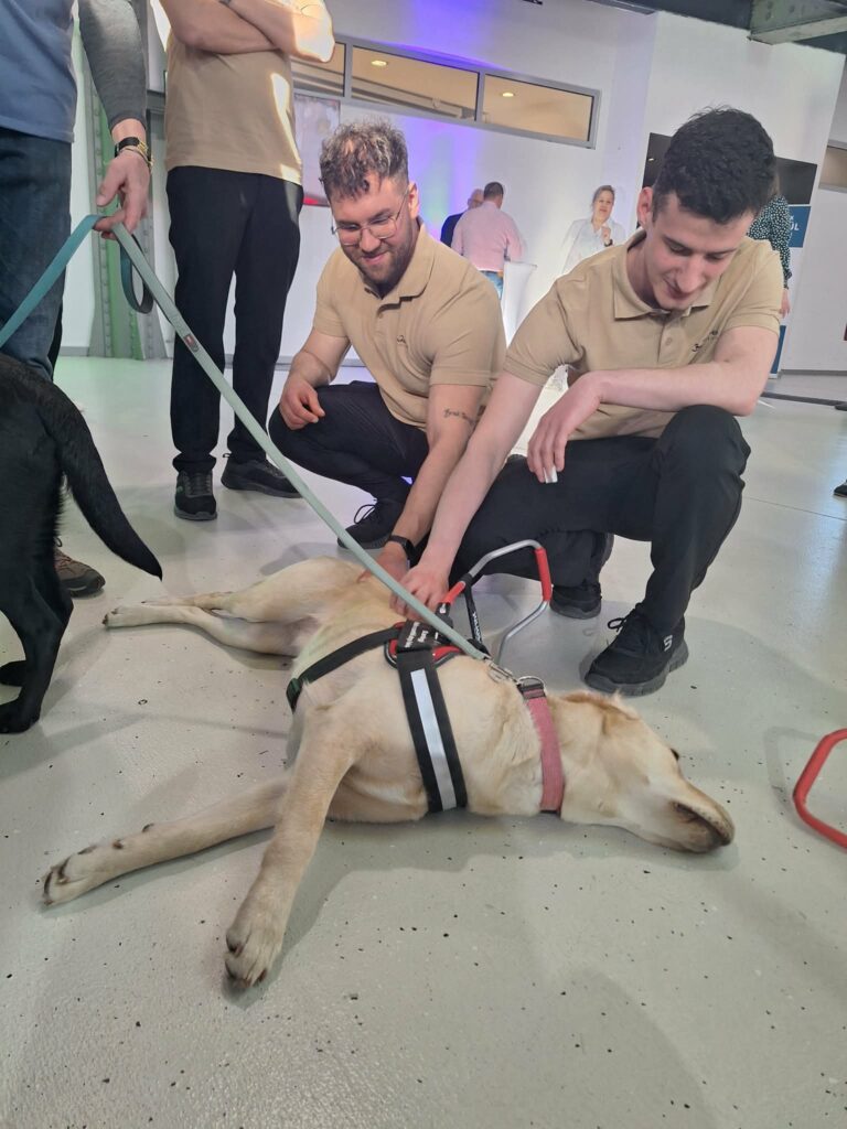 Two young men are petting our guide dog who is lying on it's side.