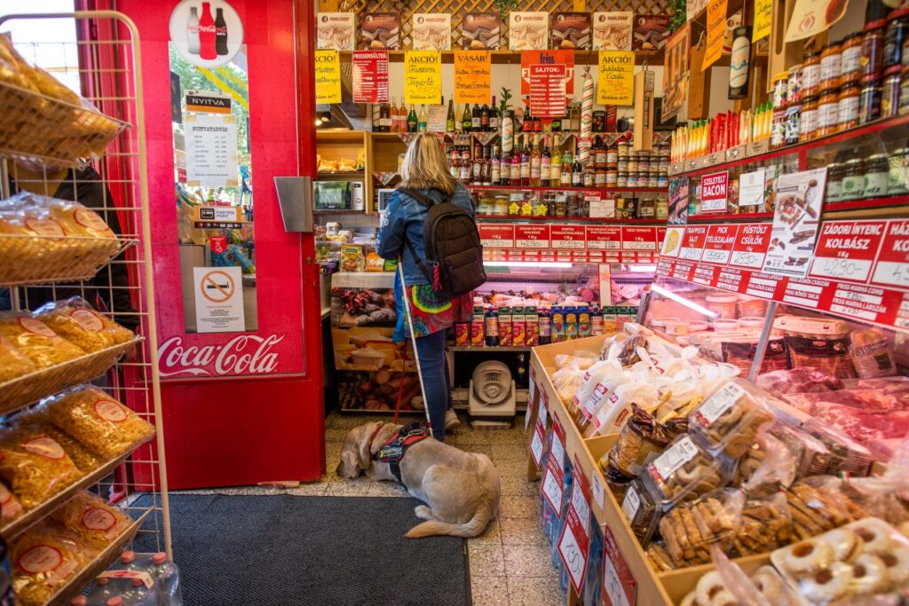 Egy szőke, hátizsákos nő fizet vagy vásárol egy kisbolti pultnál, miközben hámot viselő vakvezető kutyája nyugodtan fekszik mellette a földön.