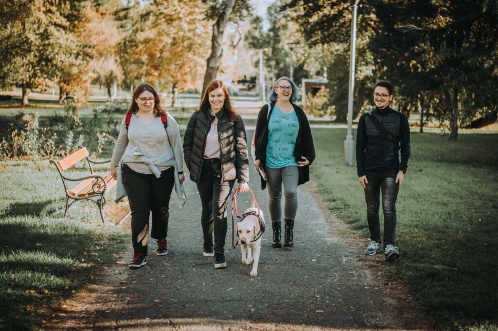 Zoé és három barátja sétálnak a Miskolci Egyetem parkjának egyik sétányán. Zoét hűséges vakvezető kutyája, Adria vezeti a hámjánál fogva.