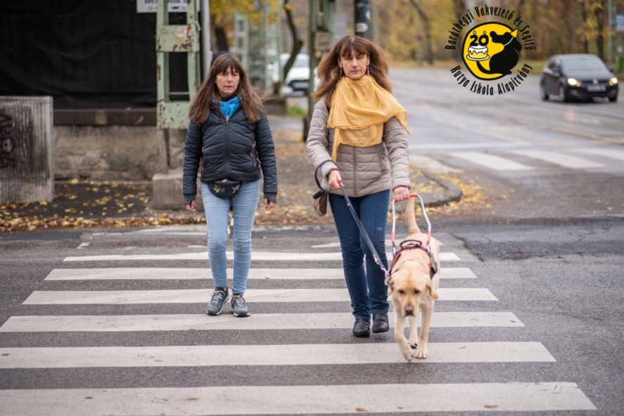 Our trainer is practising for the traffic security exam at Városliget with Kovács Lívia and Dakar