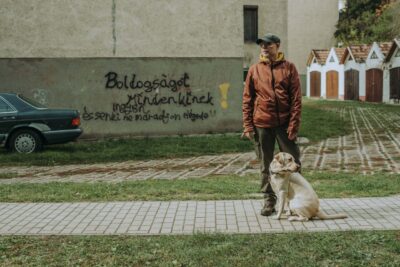 5 javaslat a sikeres munkához – útravaló a szociális és családügyi miniszternek