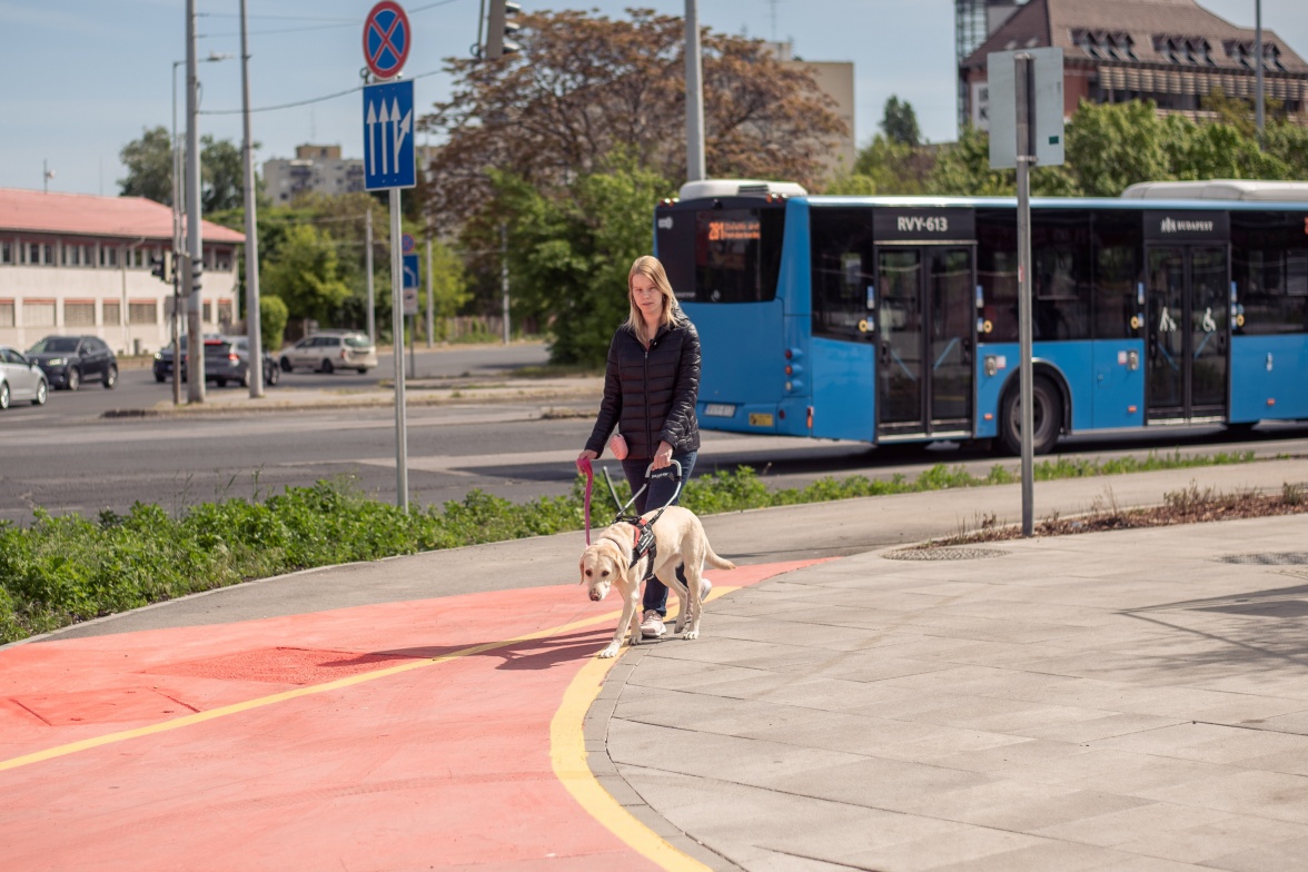 Egy nő sétál egy városi járdán és vakvezető kutyája vezeti, a háttérben egy kék autóbusszal.