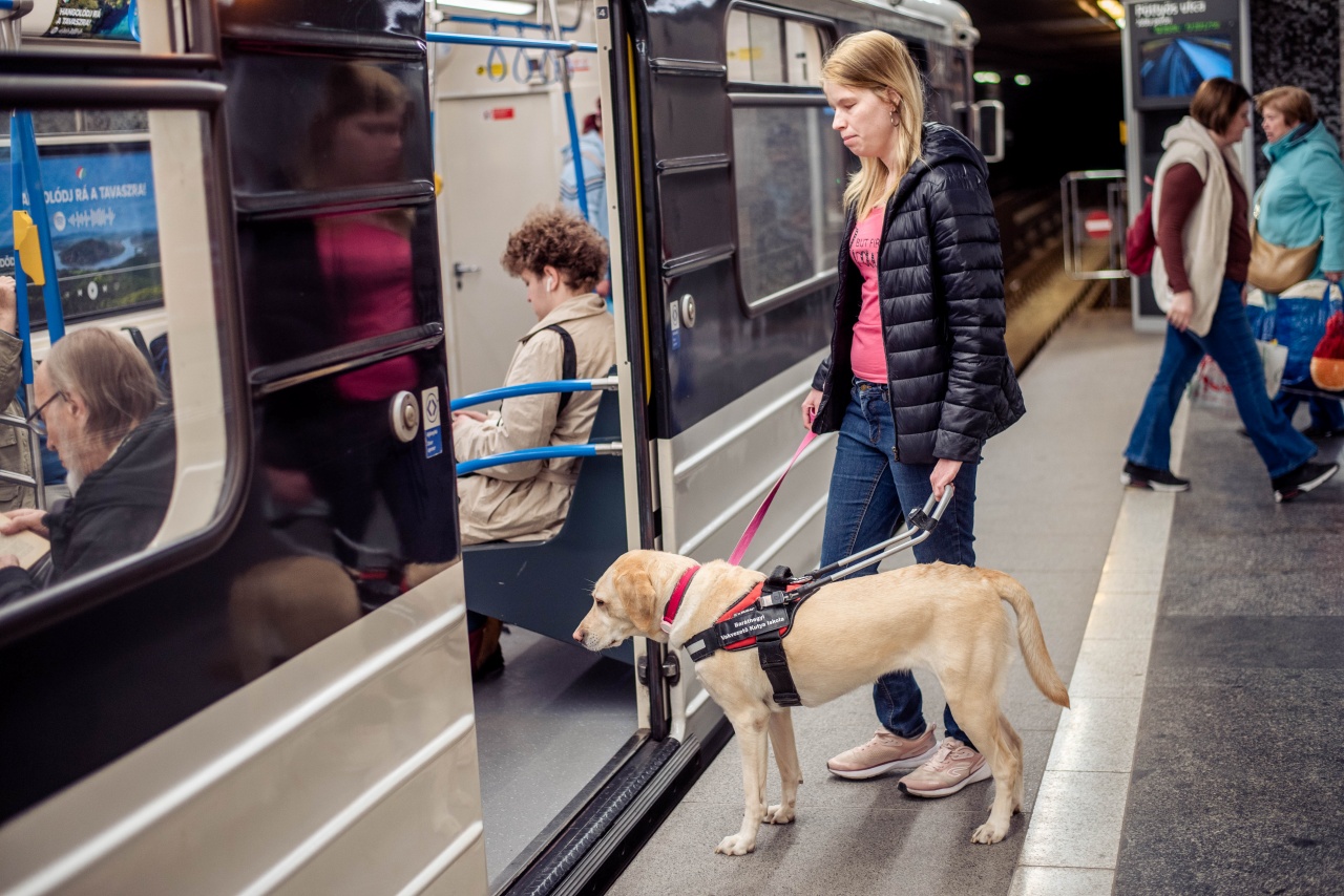 Metróállomáson készült fotó, amelyen egy fekete dzsekis nő áll vakvezető kutyájával a nyitott metrókocsi ajtaja előtt, beszállásra készen.