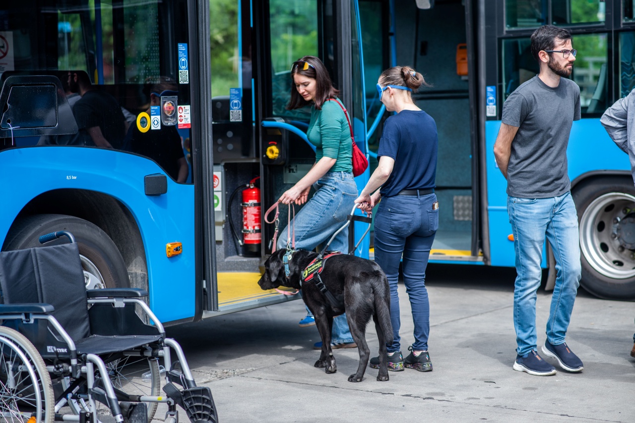 Érzékenyítettük a közlekedési vállalat munkatársait