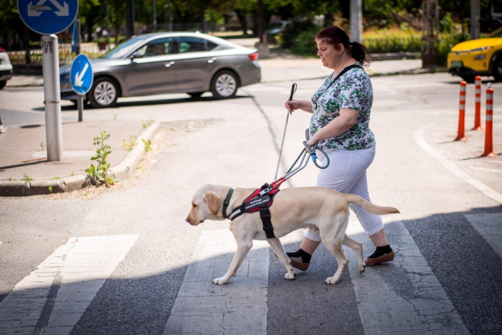 Kata sárga színű vakvezető kutyájával, Diódával kel át az úttesten egy kijelölt gyalogos-átkelőhelyen, miközben bal kezében a hámot, jobb kezében pedig a fehér botot tartja.