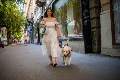 Szebb lesz velük az élet – úton a vakvezető kutyákkal