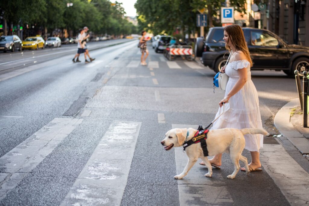 Kállai Antónia fehér nyári ruhában kel át az úttesten egy kijelölt gyalogos-átkelőhelyen, miközben sárga színű vakvezető kutyája, Iram, magabiztosan vezeti őt a városi forgalomban.