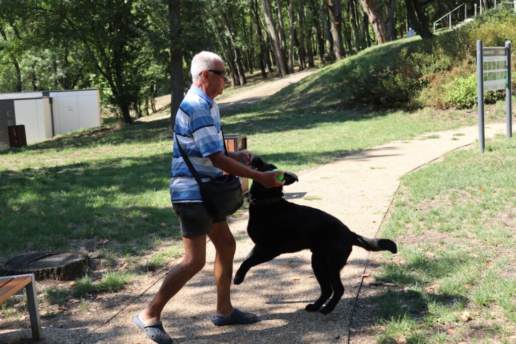 Pista is throwing the ball for Igor, his guide dog. They are in a park, Igor is not wearing a leash.